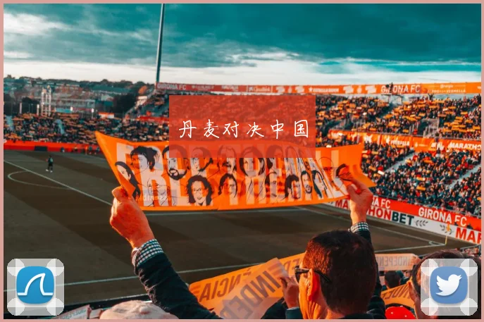 丹麦对决中国