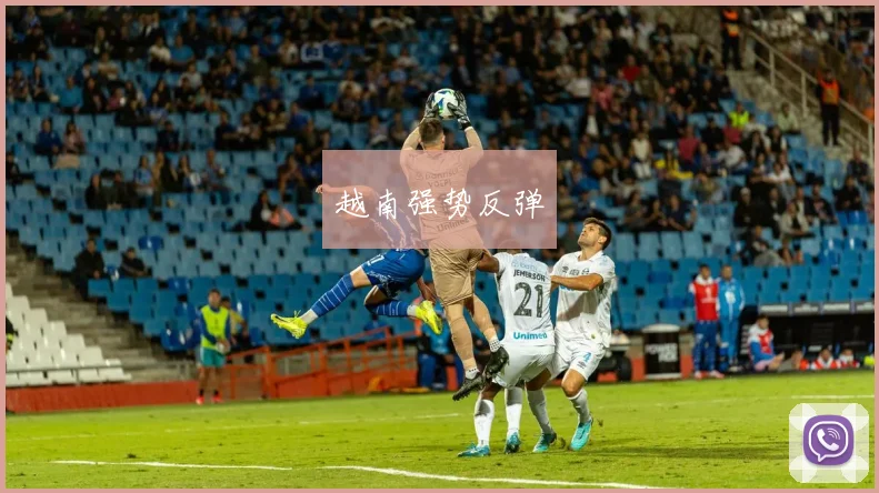 越南强势反弹