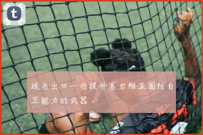 适当出口一些提升塞尔维亚国防自卫能力的武器