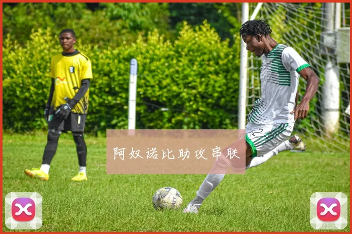 阿奴诺比助攻串联