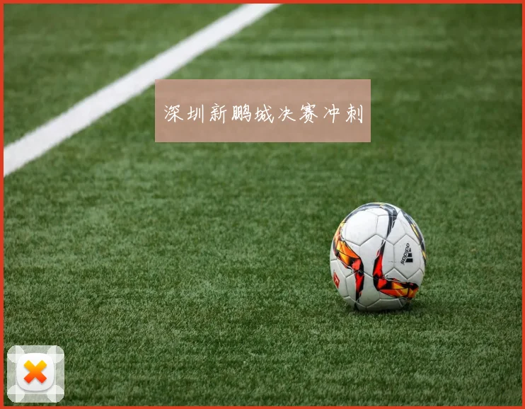 深圳新鹏城决赛冲刺