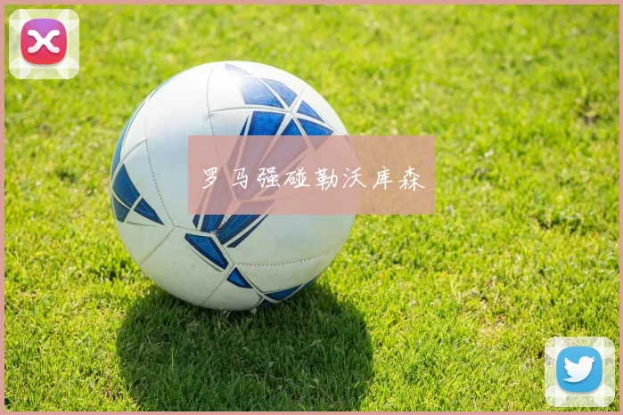 罗马强碰勒沃库森