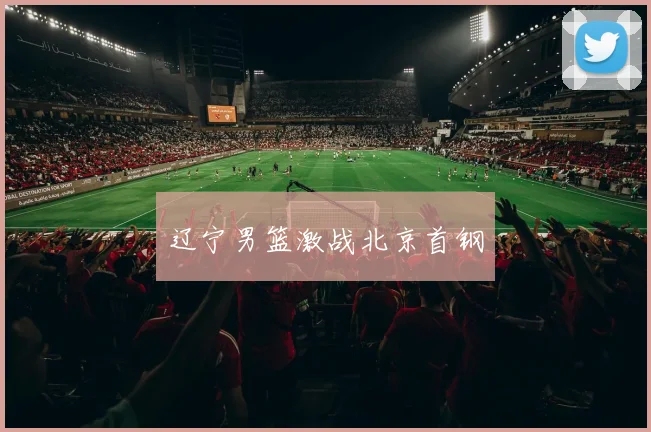 辽宁男篮激战北京首钢