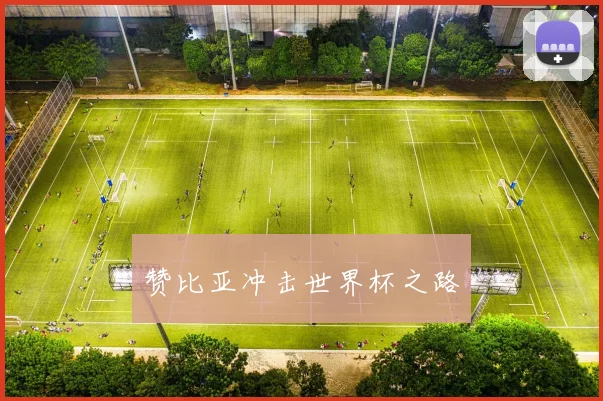 赞比亚冲击世界杯之路