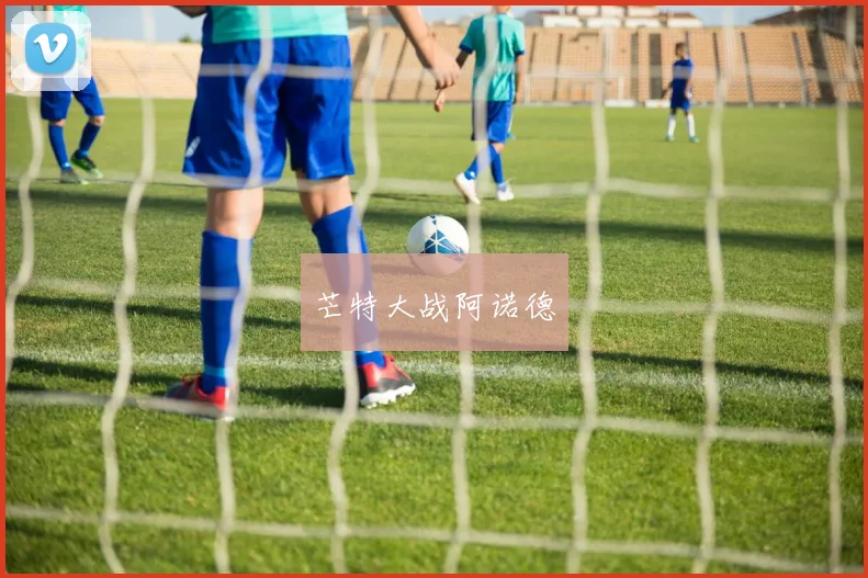 芒特大战阿诺德