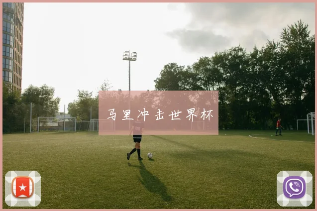 马里冲击世界杯