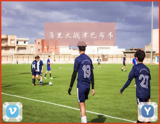 马里大战津巴布韦