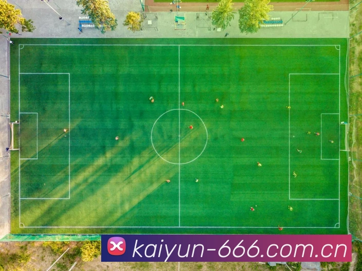 关于开云体育