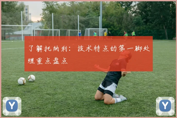 了解托纳利：技术特点的第一脚处理重点盘点
