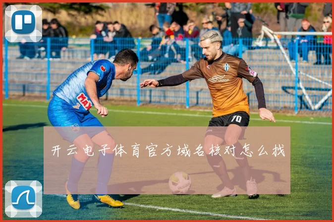 开云电子体育官方域名核对怎么找